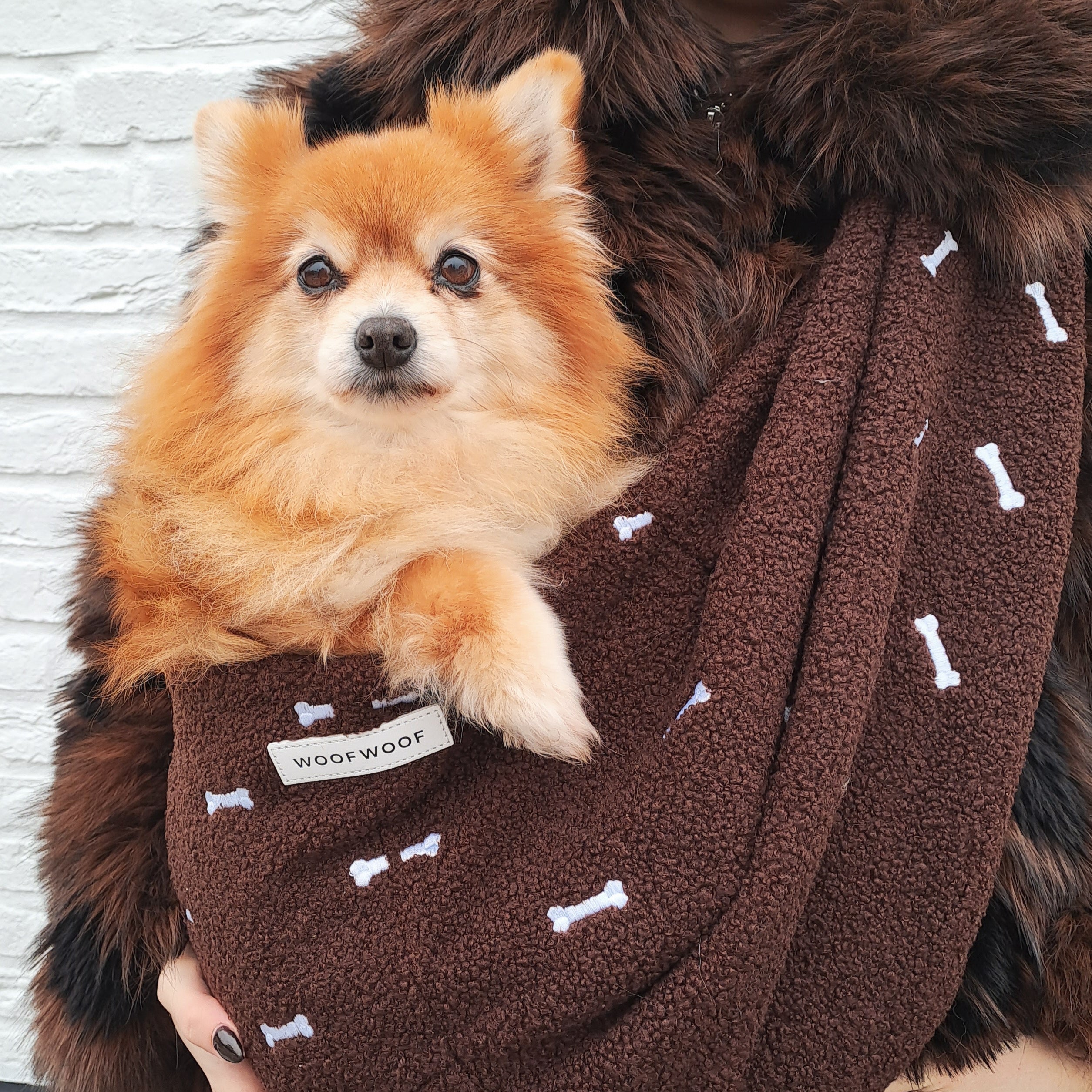 HONDEN DRAAGZAK BRUIN met botjes
