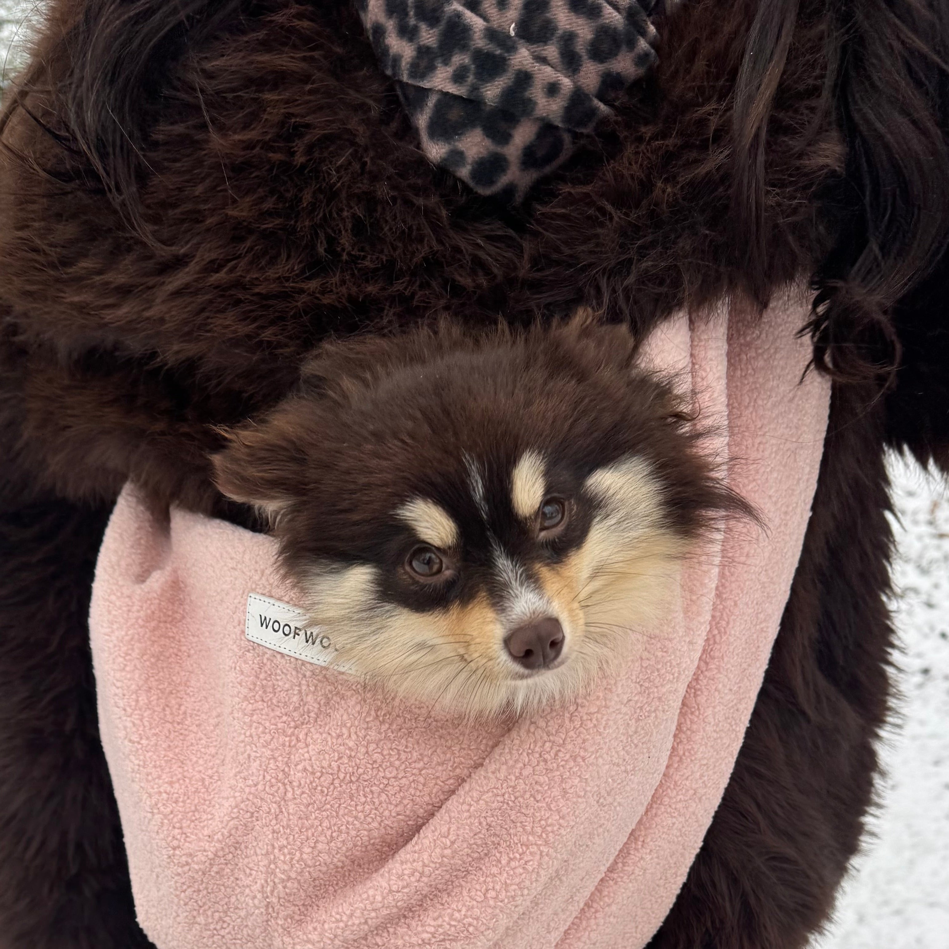 HONDEN DRAAGZAK ROZE